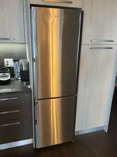 Blomberg Refrigerator Freezer $100, View more