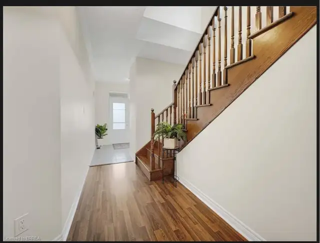 House for rent