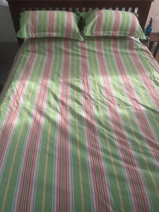 Pottery Barn Queen Size Duvet Cover and pillow covers in Bedding in City of Toronto - Image 3