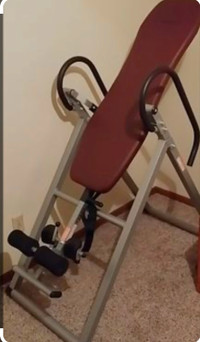 Fitness: Exerpeutic Theraputic Inversion Table