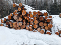 8 ft cedar saw logs wanted