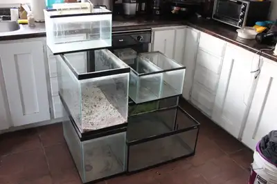 Heavily Used Aquarium Package, View more