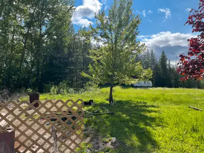 looking for property manager