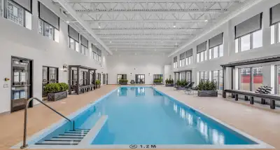 3 1/2 Fitz à Lévis 6e étage - vue terrasse intérieur Tous les électroménagers, Internet, électricité...