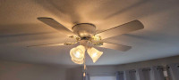 Working ceiling fans white