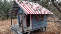 Chicken house / dog house with metal roof 
