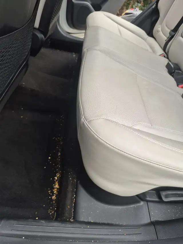 Premium Car Detailing 518967619466055682
