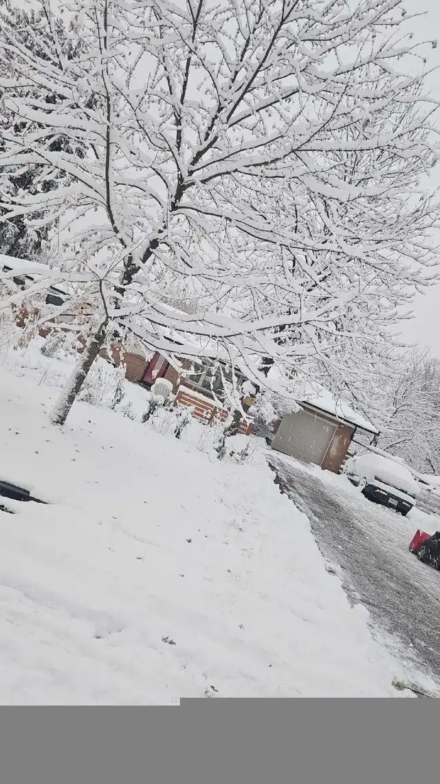 snow removal 64617624801411120