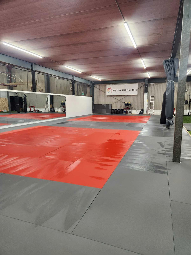 Try it BJJ Classes - $14 for 14 days  in Other in Cambridge - Image 2