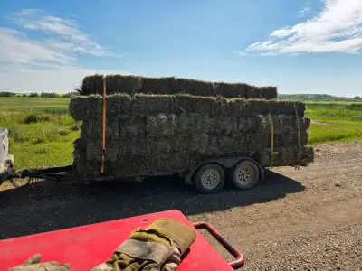 Small square bales 2025, View more