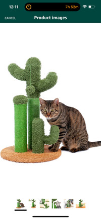 PAWZ Road Cactus Cat Scratching Post with Natural Sisal Ropes
