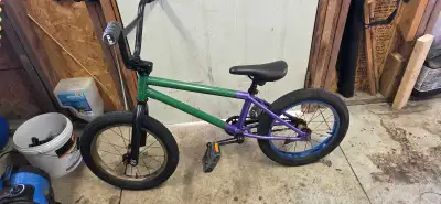 Encore Amp 16 BMX, View more