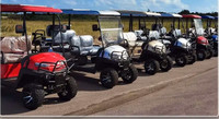 Luxury 48 volt limo golf carts and 4 seater carts as well!!