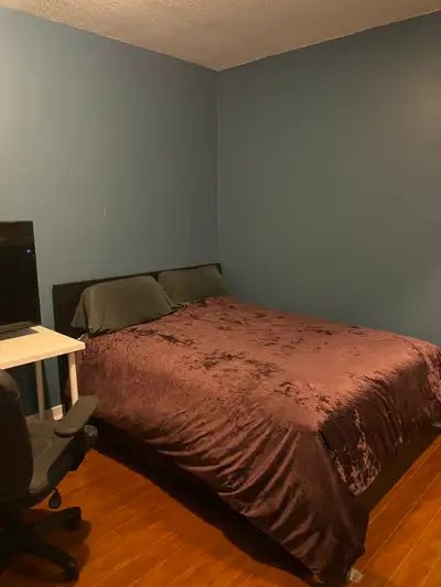 Spadina and Bremner/Fort York 1 - 4 month terms Non-smoking/vaping Starting September $1800/month +o...