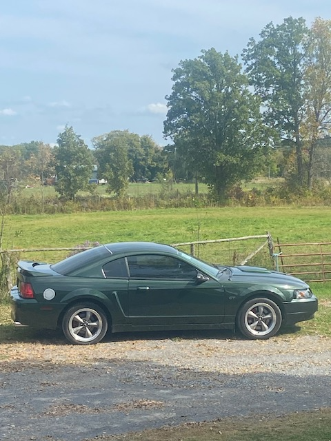 2001 Ford Mustang Bullitt GT