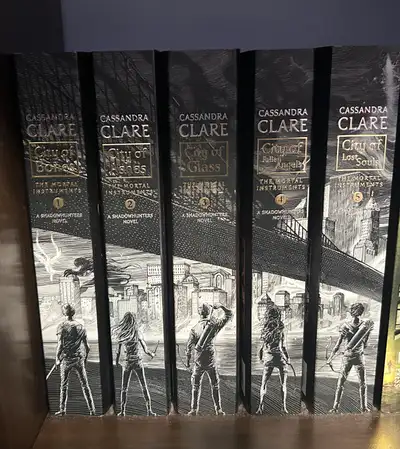 The Mortal Instruments Book Series (missing last book), View more