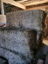 Large square bales, stored indoors Timothy Brome - Horse mix