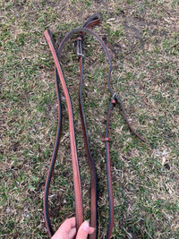 Standing martingale 