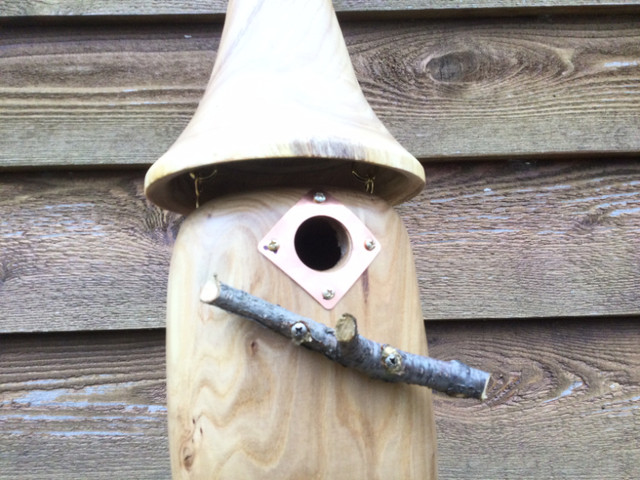 Hand-Crafted 2 piece Siberian Elm Hanging Wood Birdhouse #2 in Outdoor Décor in Hamilton - Image 3