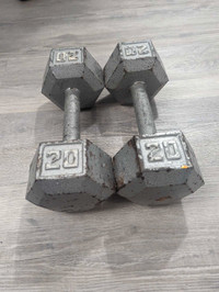 Haltères 2x 20lbs