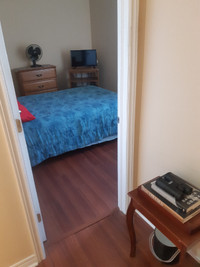 Shared Apartment(Room For Rent)