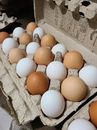Farm fresh eggs $4/dozen pick up 12 minutes east of Sherwood prk