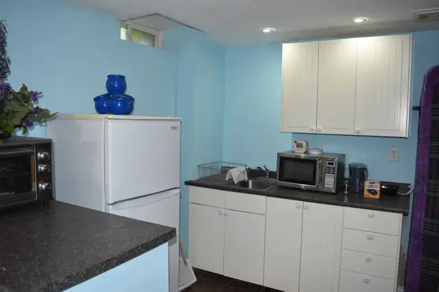 Looking for two female students in Room Rentals & Roommates in Oshawa / Durham Region - Image 8