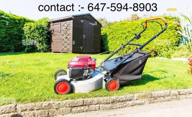 grass cutting 457023615340400640