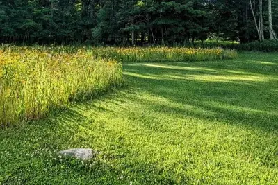 grass cutting starting at 30$ Windsor Essex county  , View more