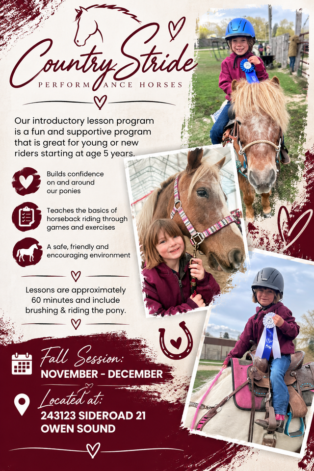 Riding Lessons