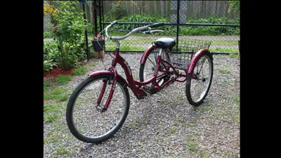 Adult Schwinn trike, used but still in good working condition. Regularly rode, but no longer needed....