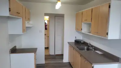 Grand 4 1/2 à louer (Vieux Longueuil)