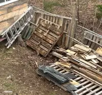 Free pallets and kindling