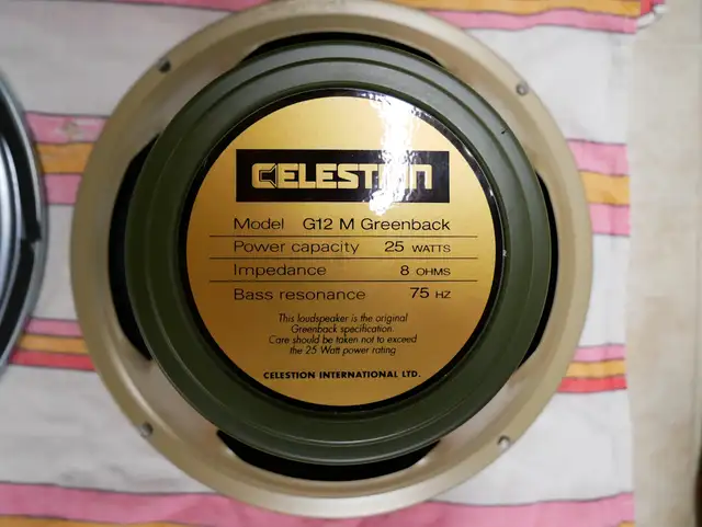 Joyo amp head, Celestion-loaded cab, Zoom multi effects565620365224857606