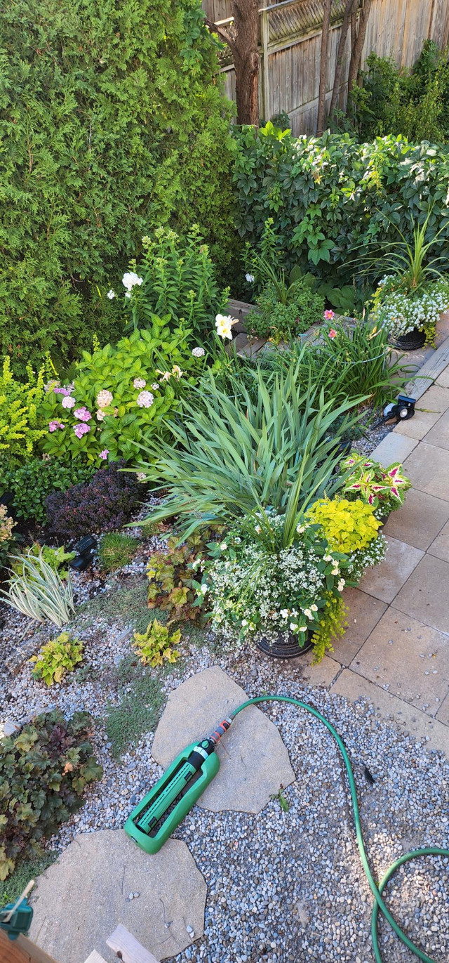 Garden Help in Other in Ottawa