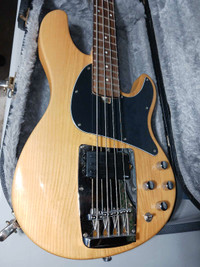 Ibanez ATK 200 Bass