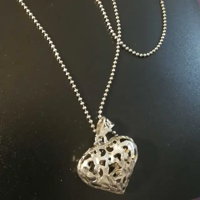 silver chain and pendant62854393949187122