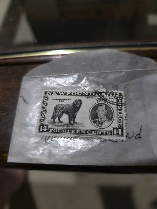 NEWFOUNDLAND 238 USED STAMP64959984394115121