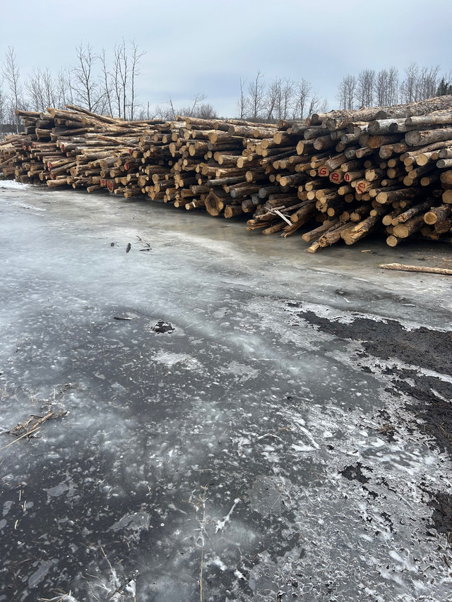 Firewood  in Other in Prince Albert