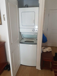 Appartment size washer dryer combo