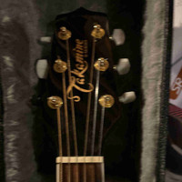 Takamine electric acoustic flawless 