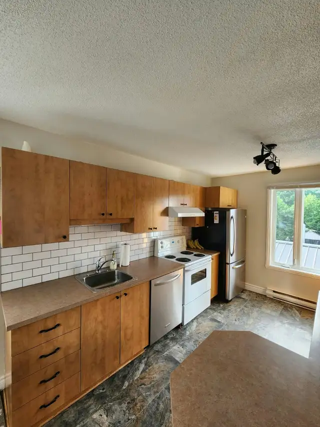Grand 4 1/2 lumineux in Long Term Rentals in Thetford Mines - Image 4