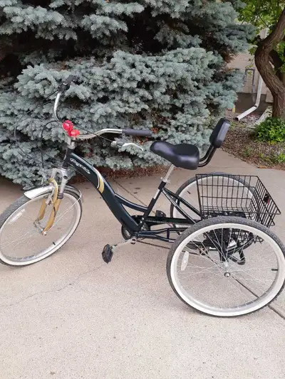 24" Adult 3 Wheel Bike , View more