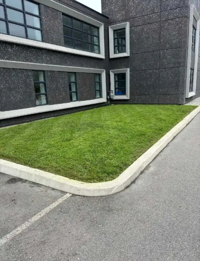 Toronto & GTA Landscaping | Lawn Care, Garden Services in Lawn, Tree Maintenance & Eavestrough in City of Toronto - Image 8