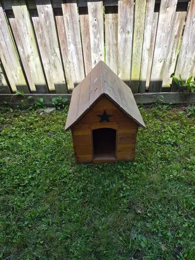 Dog House, View more