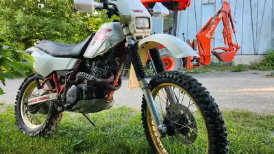 Yamaha XT 600 1986 new front fork seals new back brake pads carburetor cleaned valves were set. New...
