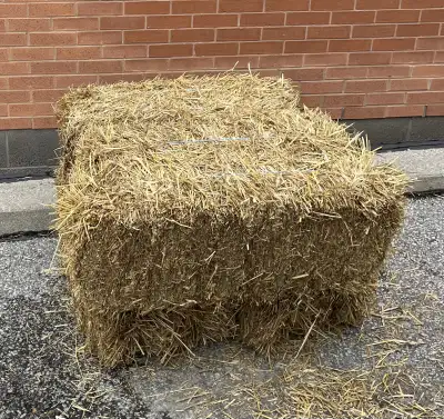 Straw Small Square Bales, View more