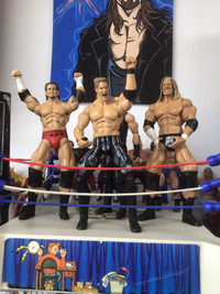 Wwe big figs 12 inches tall