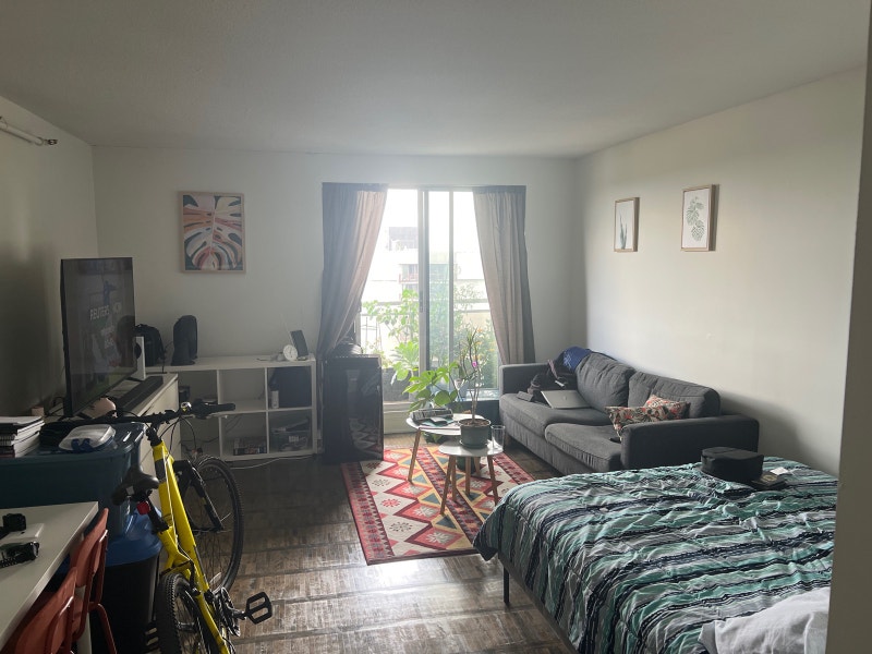 Bachelor Long Term Rentals Kingston Kijiji