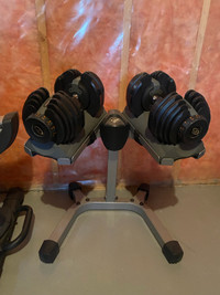 Nautilus (Bowflex) Dumbbells with Stand